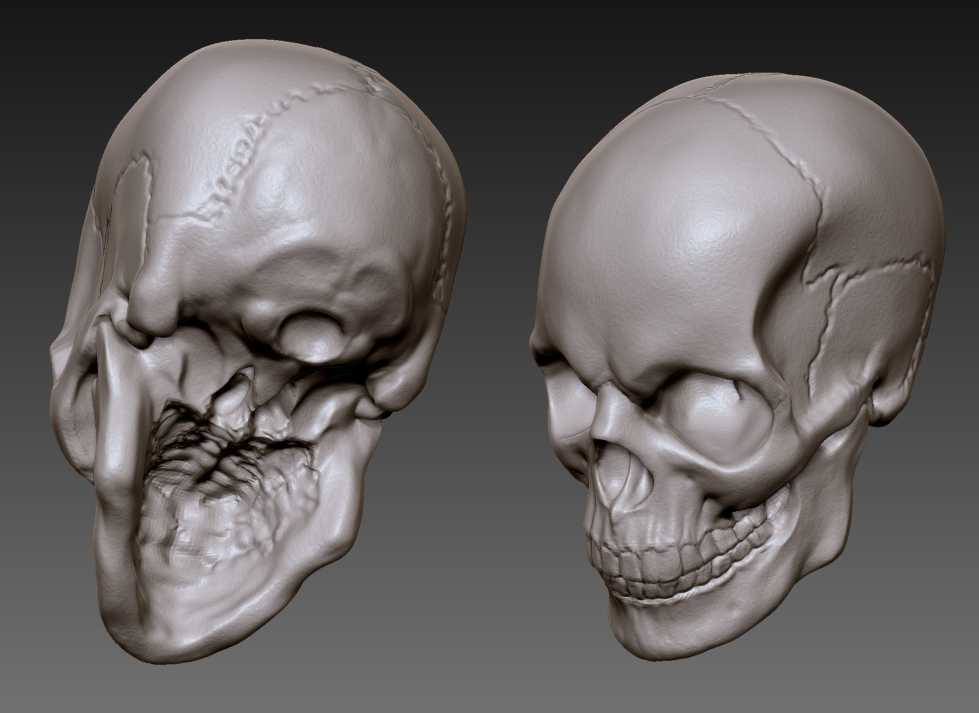Skull2.jpg