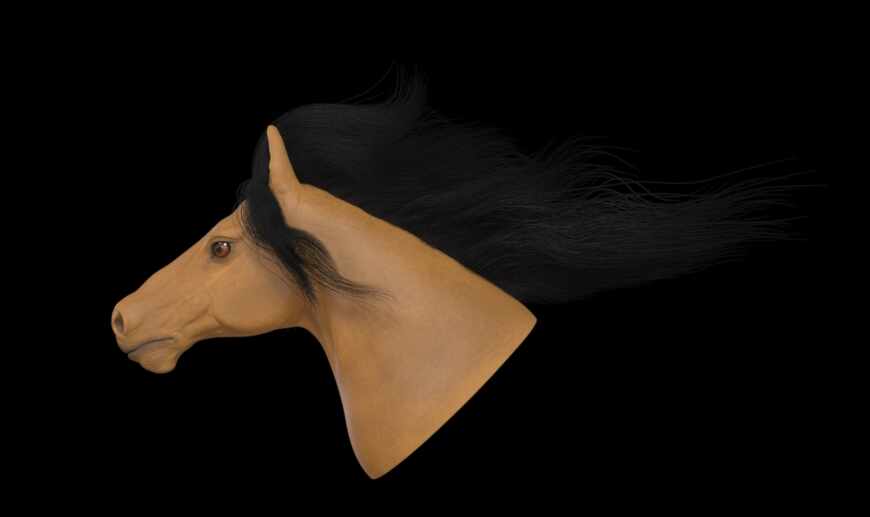 Horse2