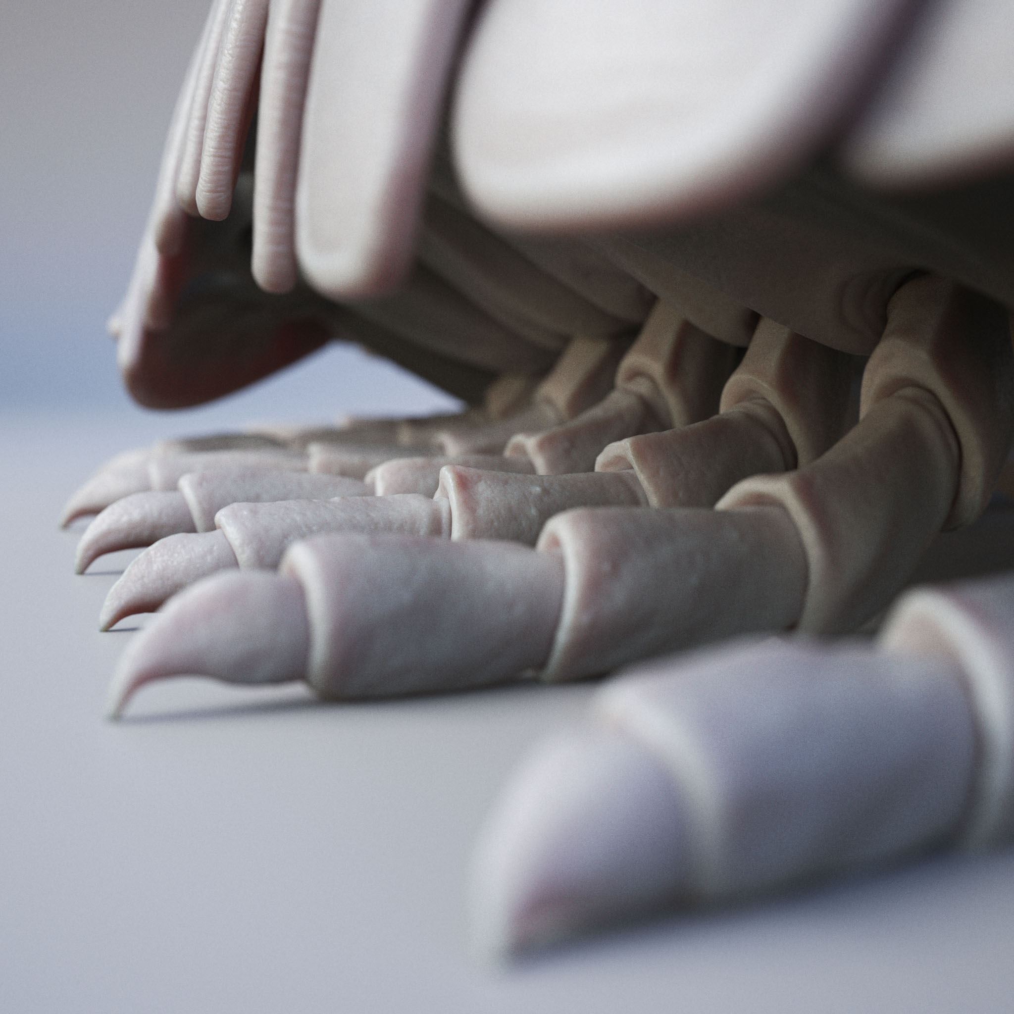 RollyPolly_DetailTest12