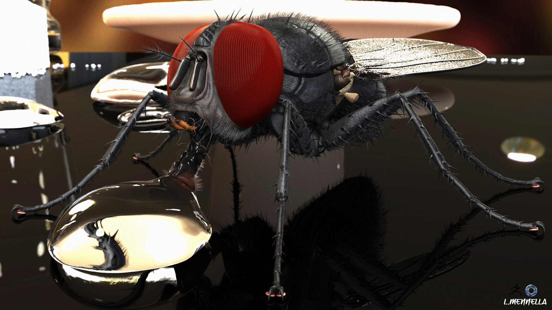 la mouche gros plan 2.jpg
