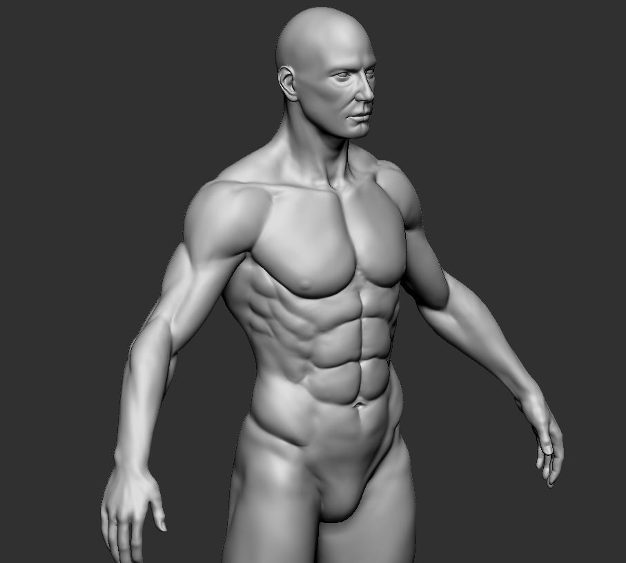 Male_quarter.JPG