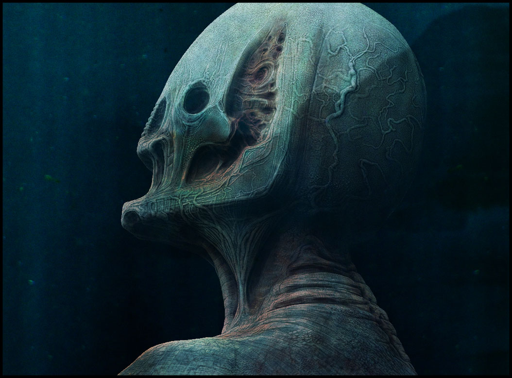 bone chap DUN.jpg