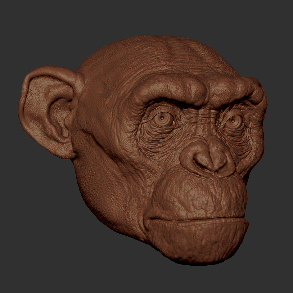 ZBrush Document
