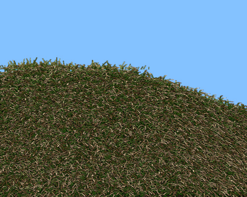 grass002.jpg