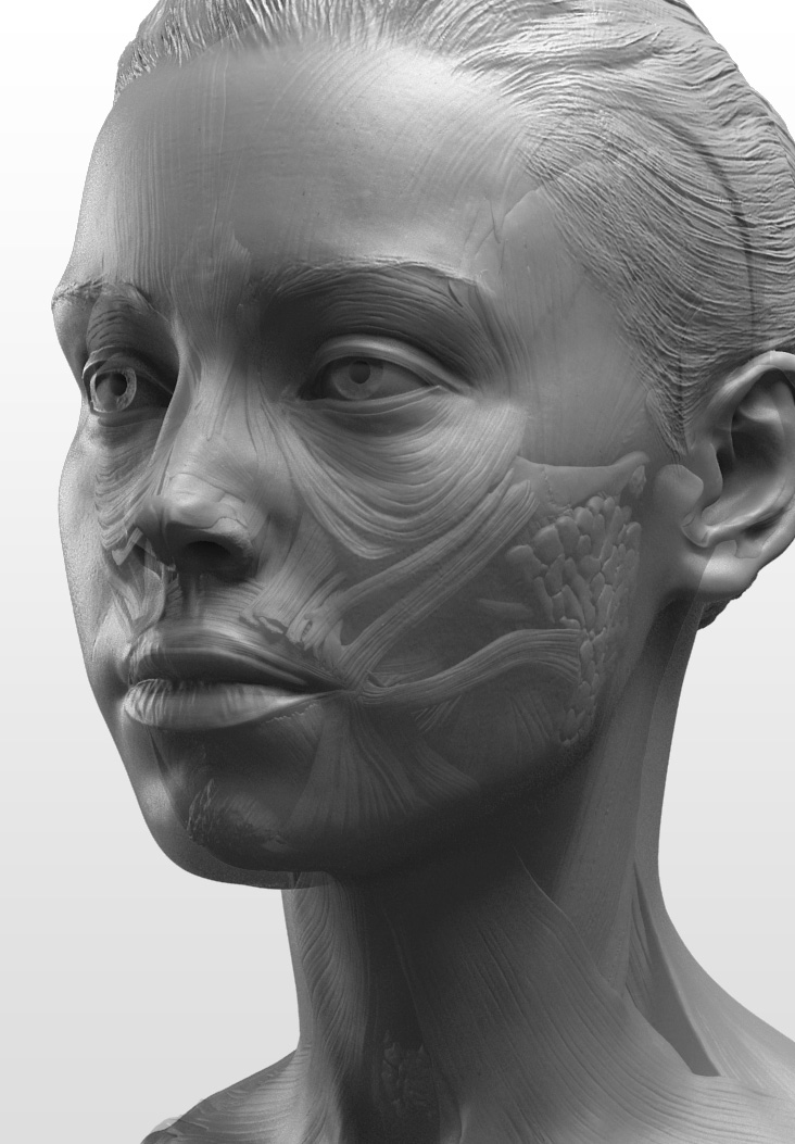 render1.jpg