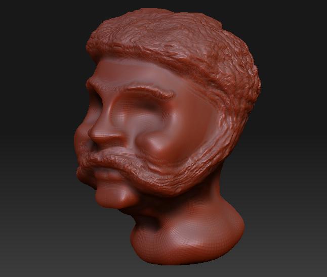 Head 2 - With Hair.JPG