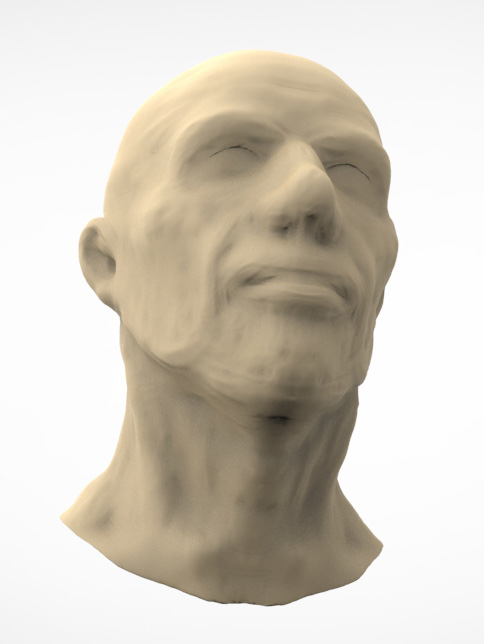 fasthead_c.jpg