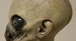 trumb.jpg
