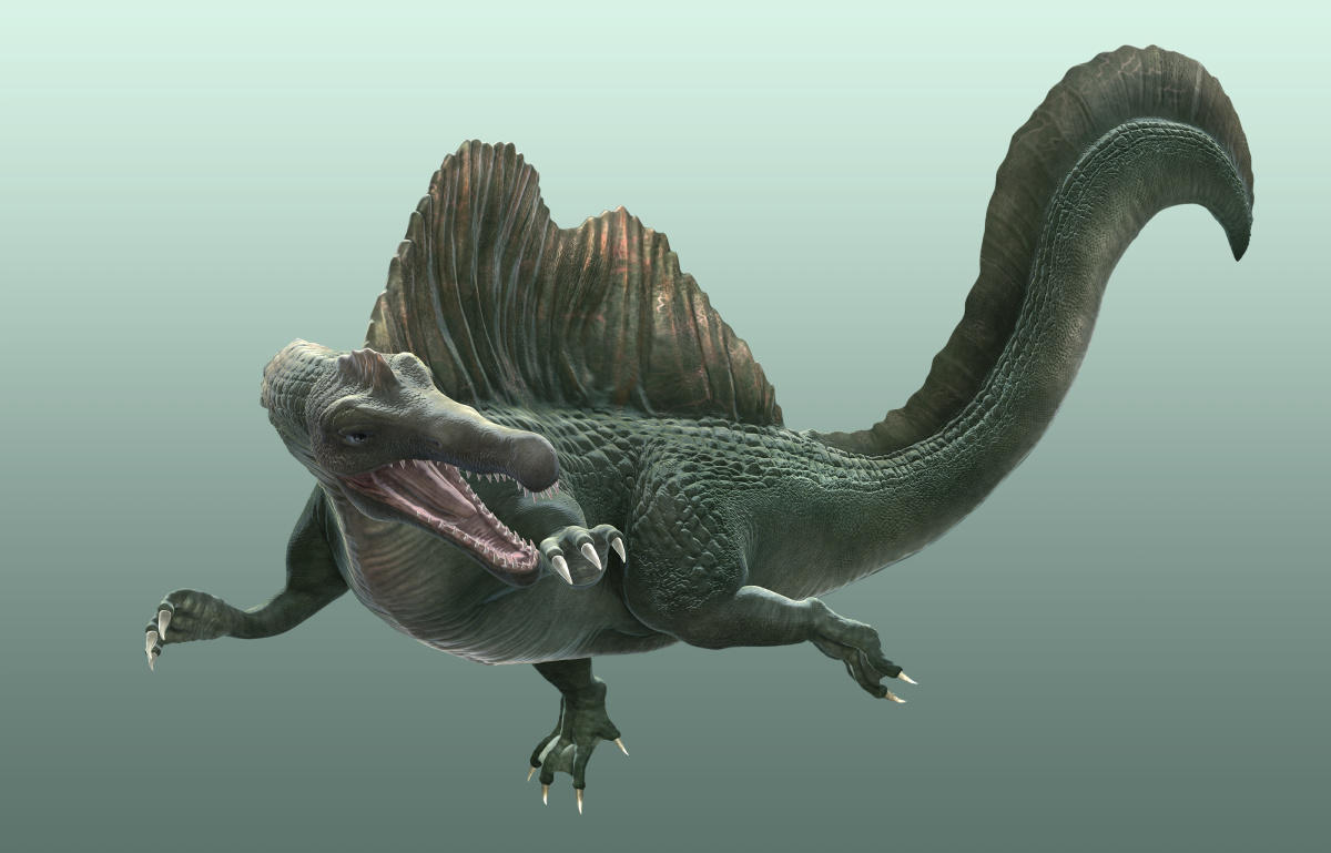 spinosaurus_B_s