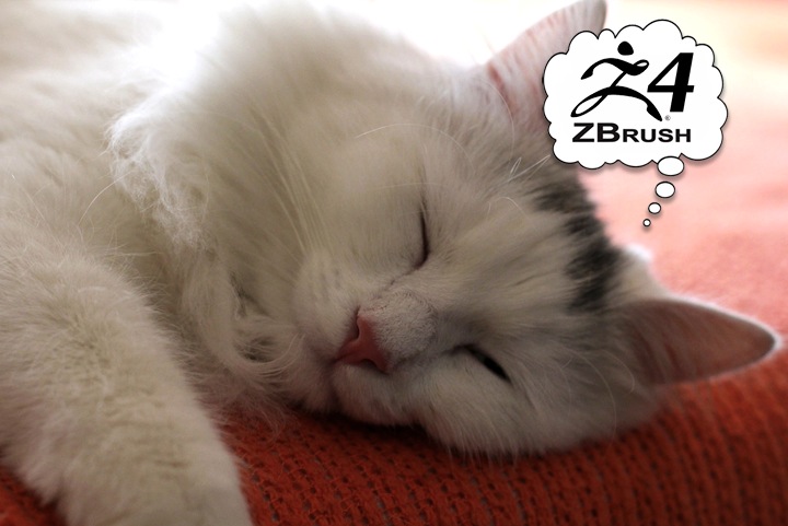 Dreaming of Z4.jpg