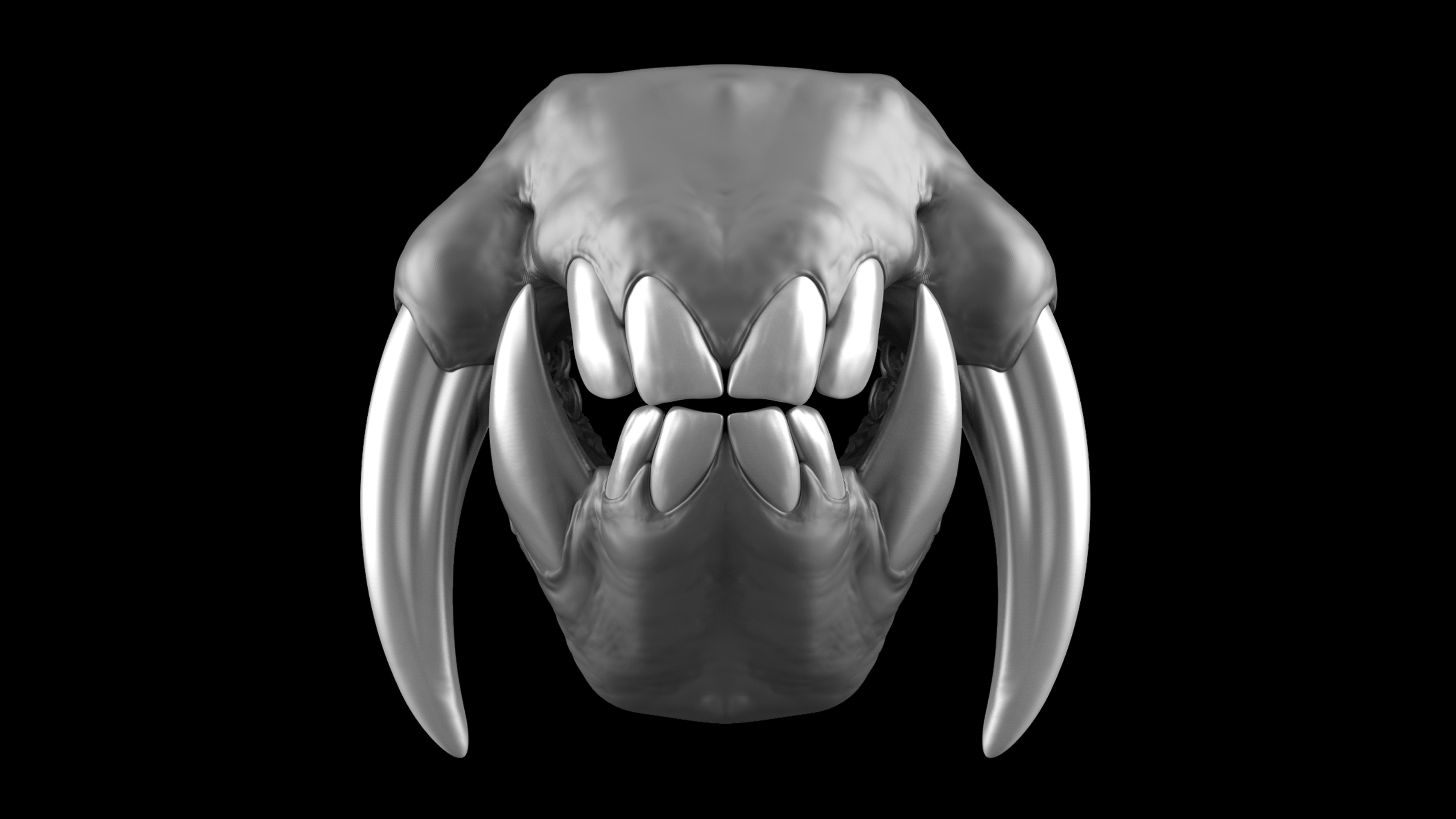 Teeth_Kits_Master_Views_Mandrill_04.jpg