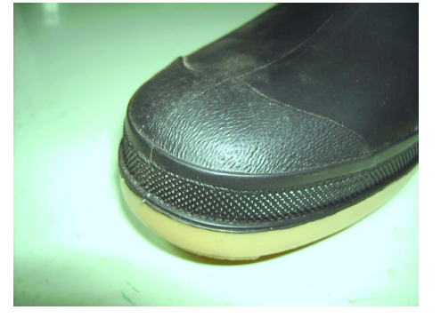 bota.jpg
