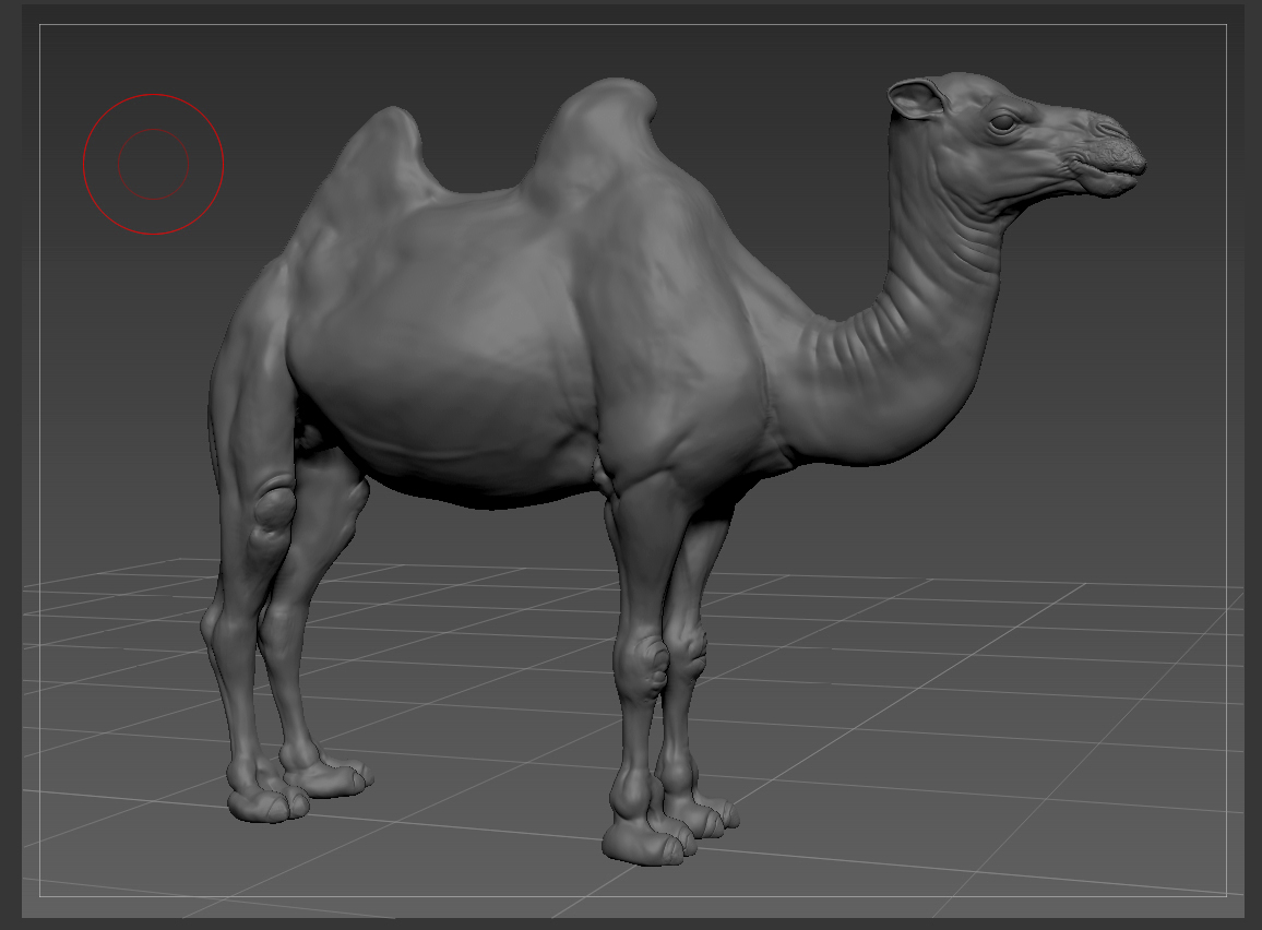 camel_shaded_web.jpg