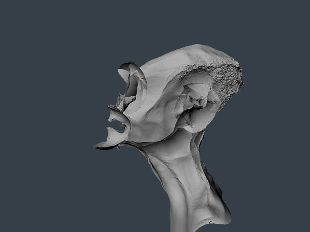 DisplacedHead_Pushed.jpg