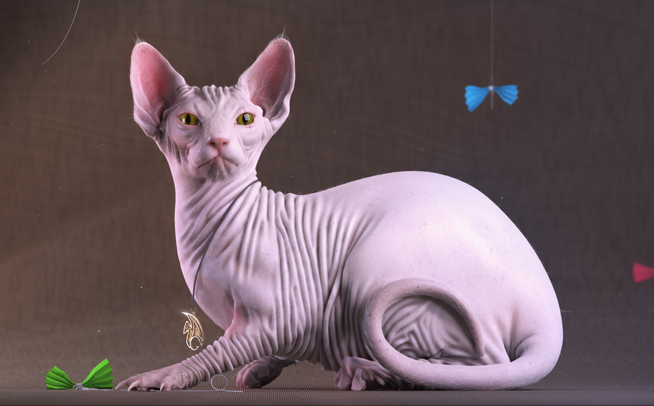 Cat_texel_01.jpg