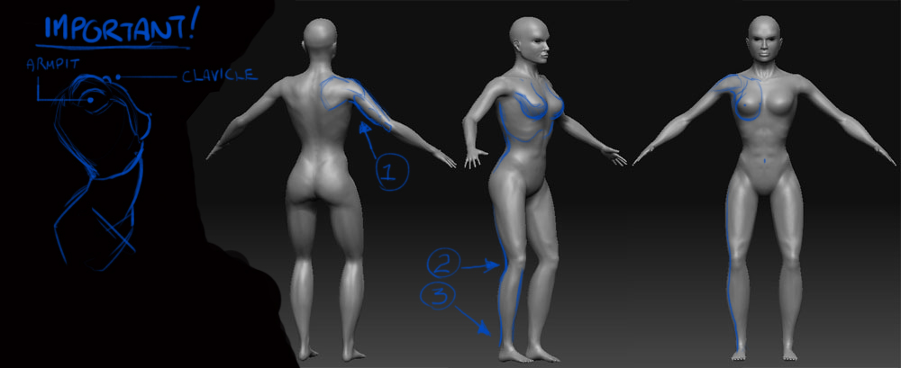 femalewip4.jpg