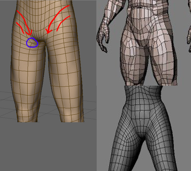 hip_topo_01.jpg
