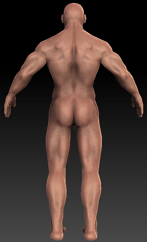 4.jpg