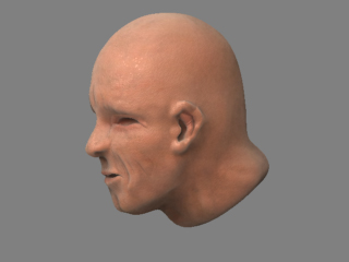 Face_realistic5.jpg