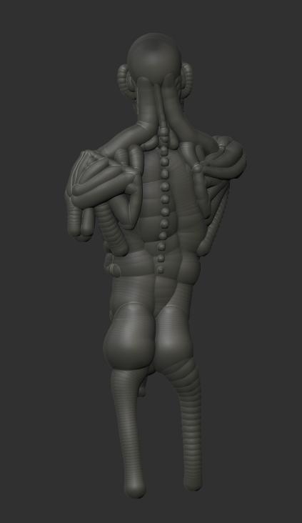 ecorche2.jpg
