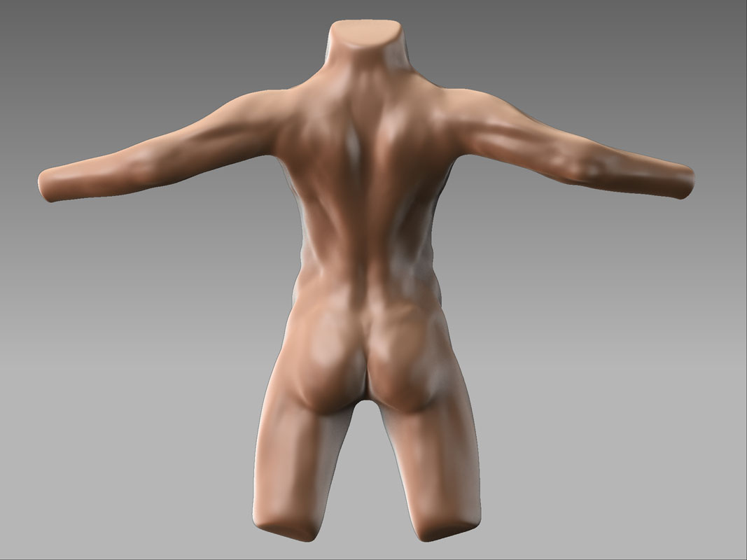 back_1.jpg