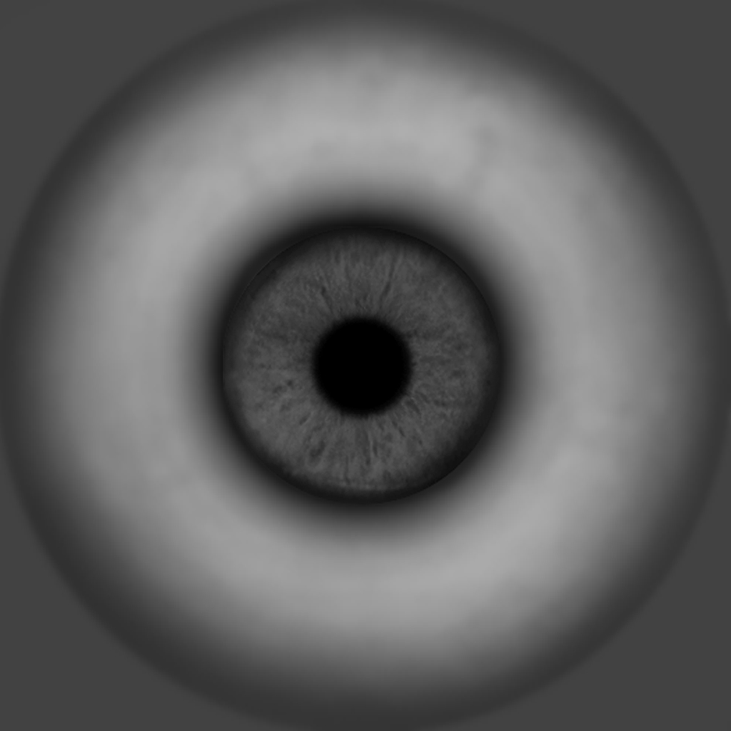 HumanEyeB.jpg