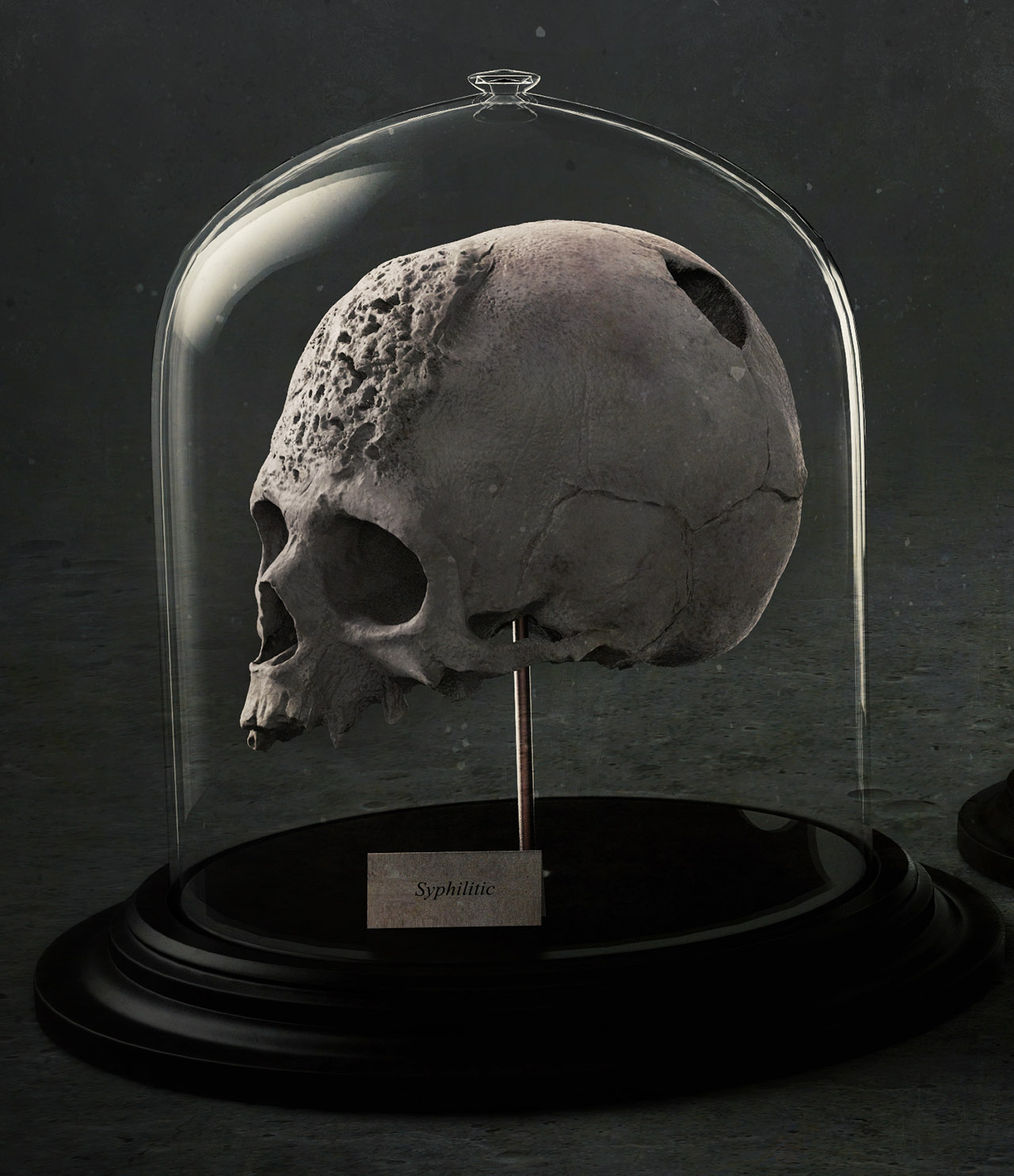 Hunterian Lament_Close_3.jpg