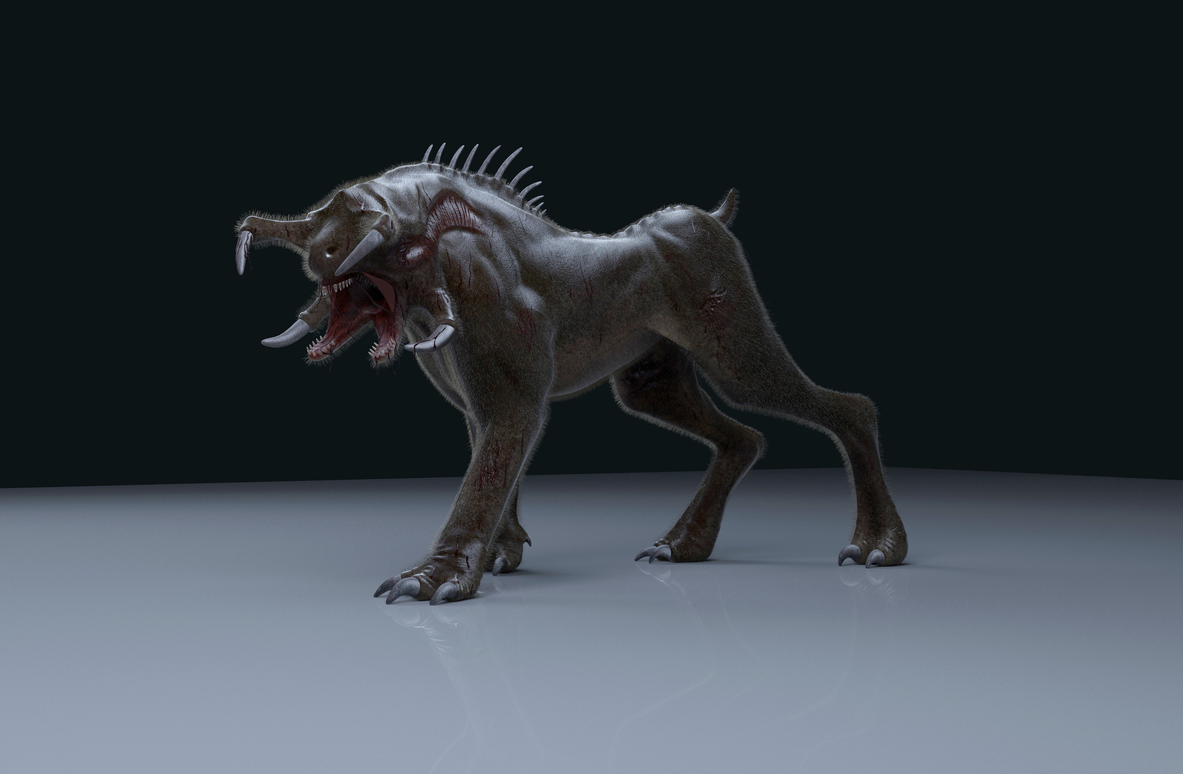 dog-9