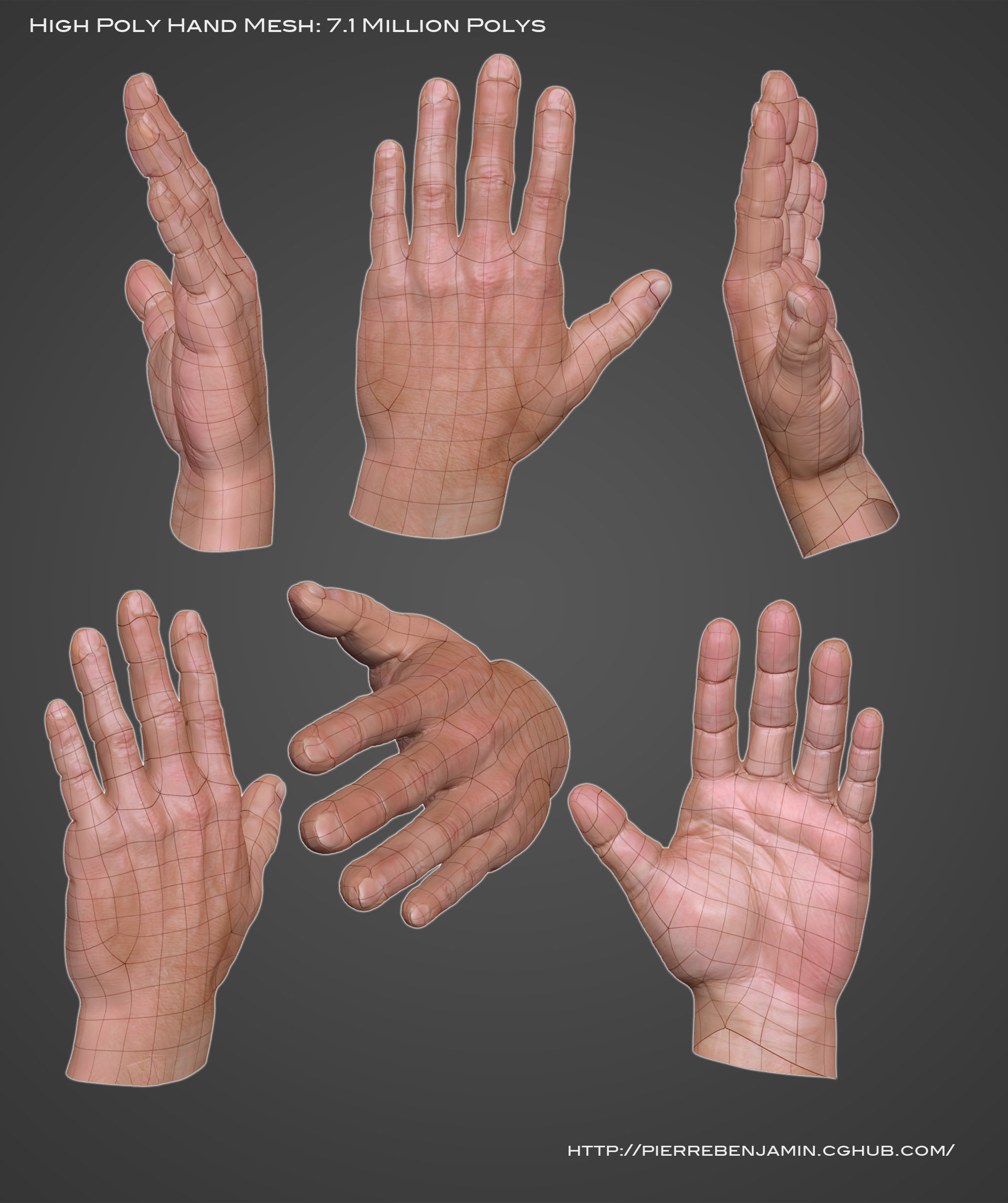 HAND WIP high P F>JACK.jpg