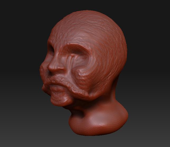 Head 1 - No Hair.JPG