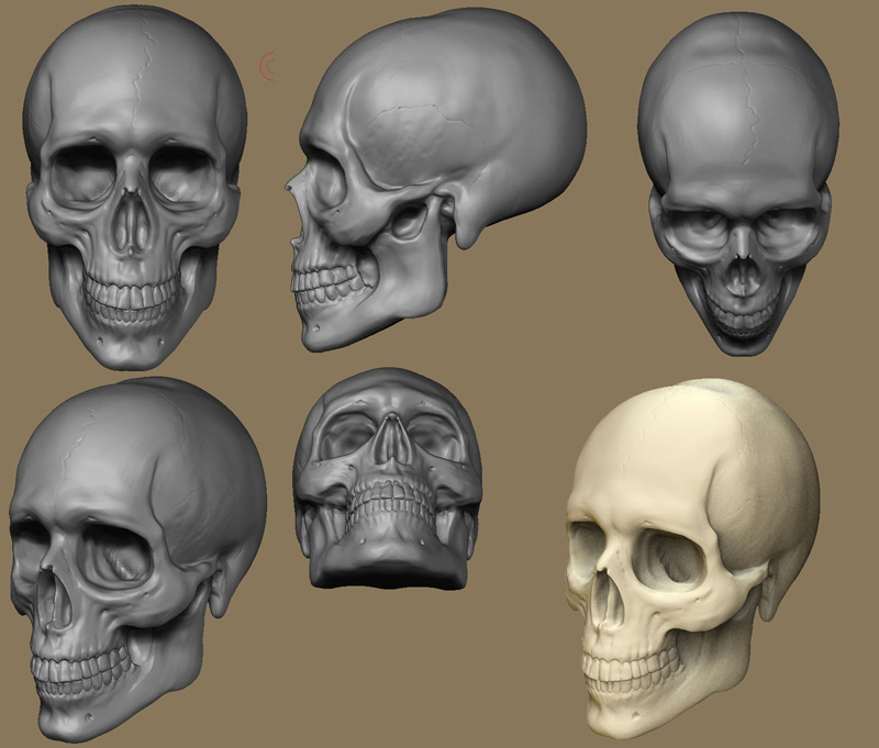 SKULL-EXERC.jpg