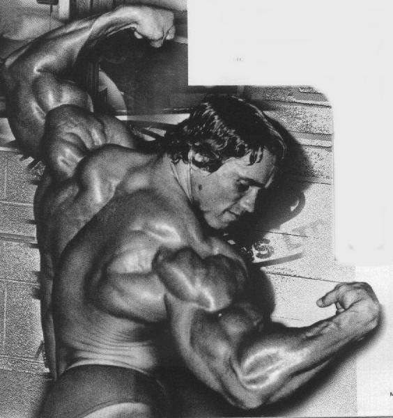 arnold_schwarzenegger_3.jpg.