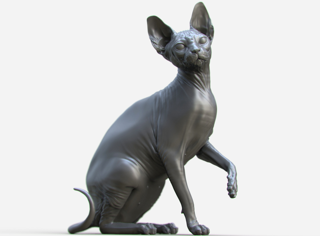 kitty5.jpg