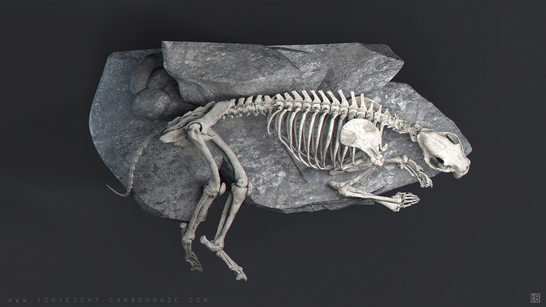 Lion_Skeleton_04_pose.194_small.jpg