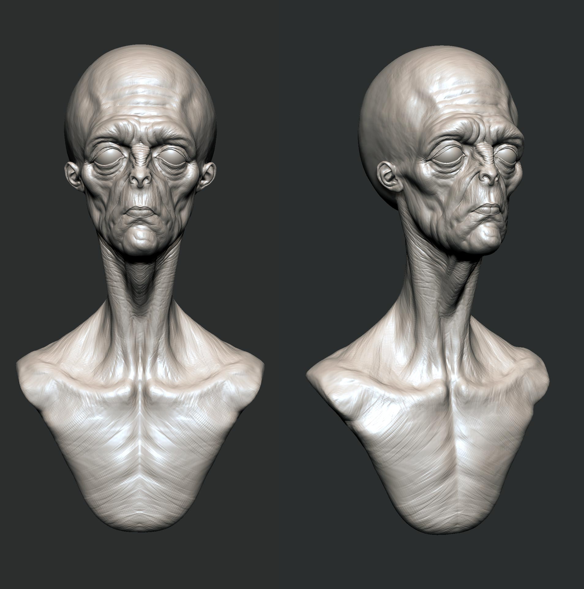 Alien-Bust-Zbrush.jpg