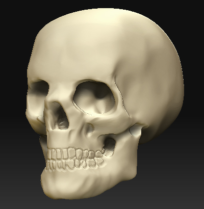 skull-03.jpg