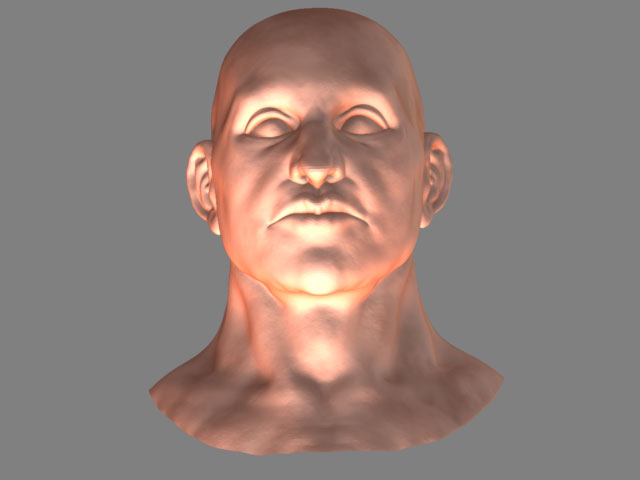 hoofd-rev8.jpg