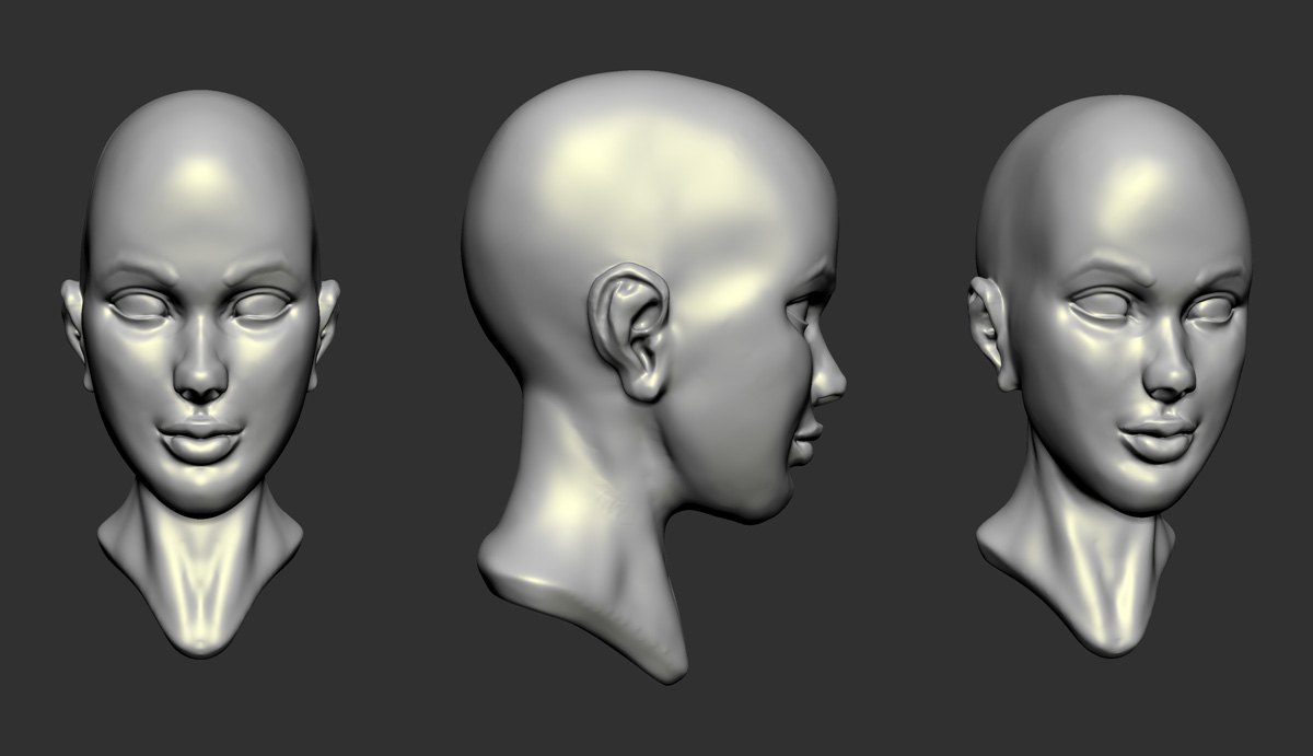 MFC2010_female_head2.jpg