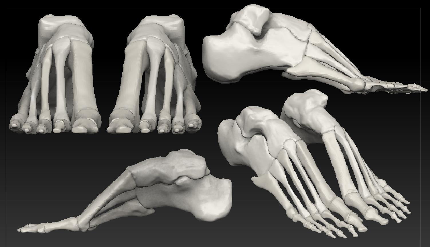 feet!.jpg