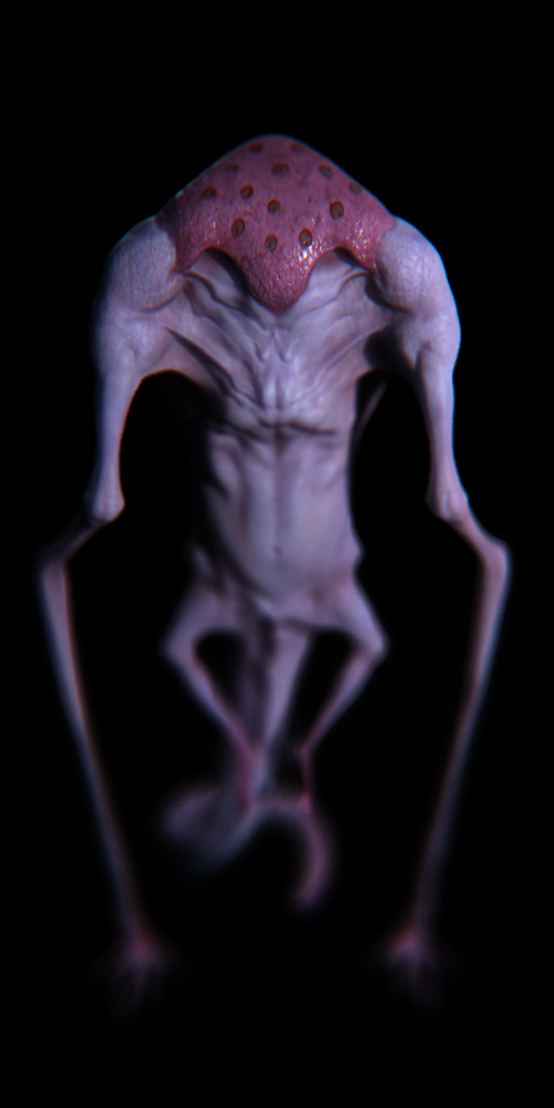 wiggles3.jpg