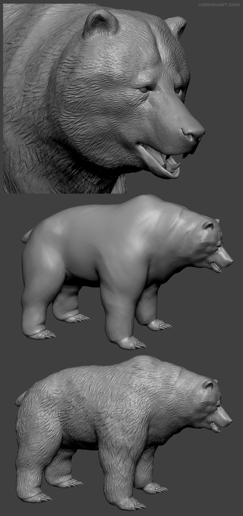 bear-sculpting-high-poly-3d-model-01.jpg