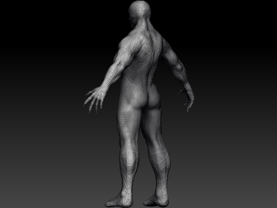WithoutPolypaint_2.jpg