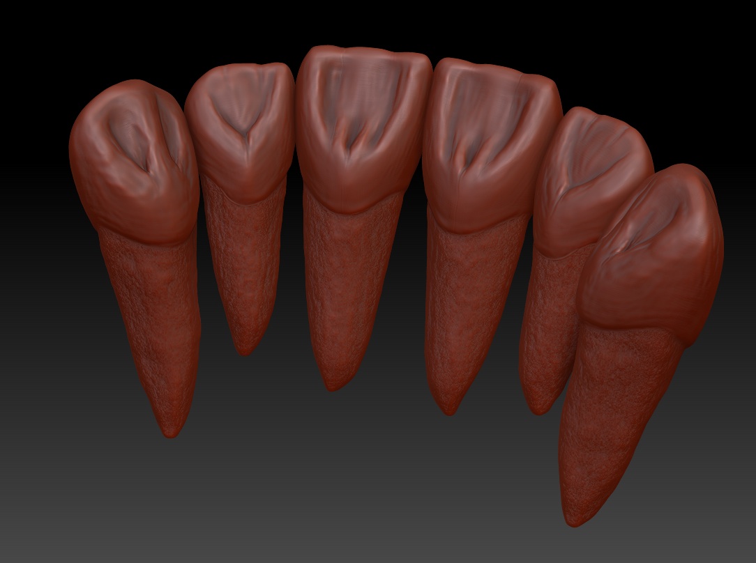 dientes-zbrush2.jpg