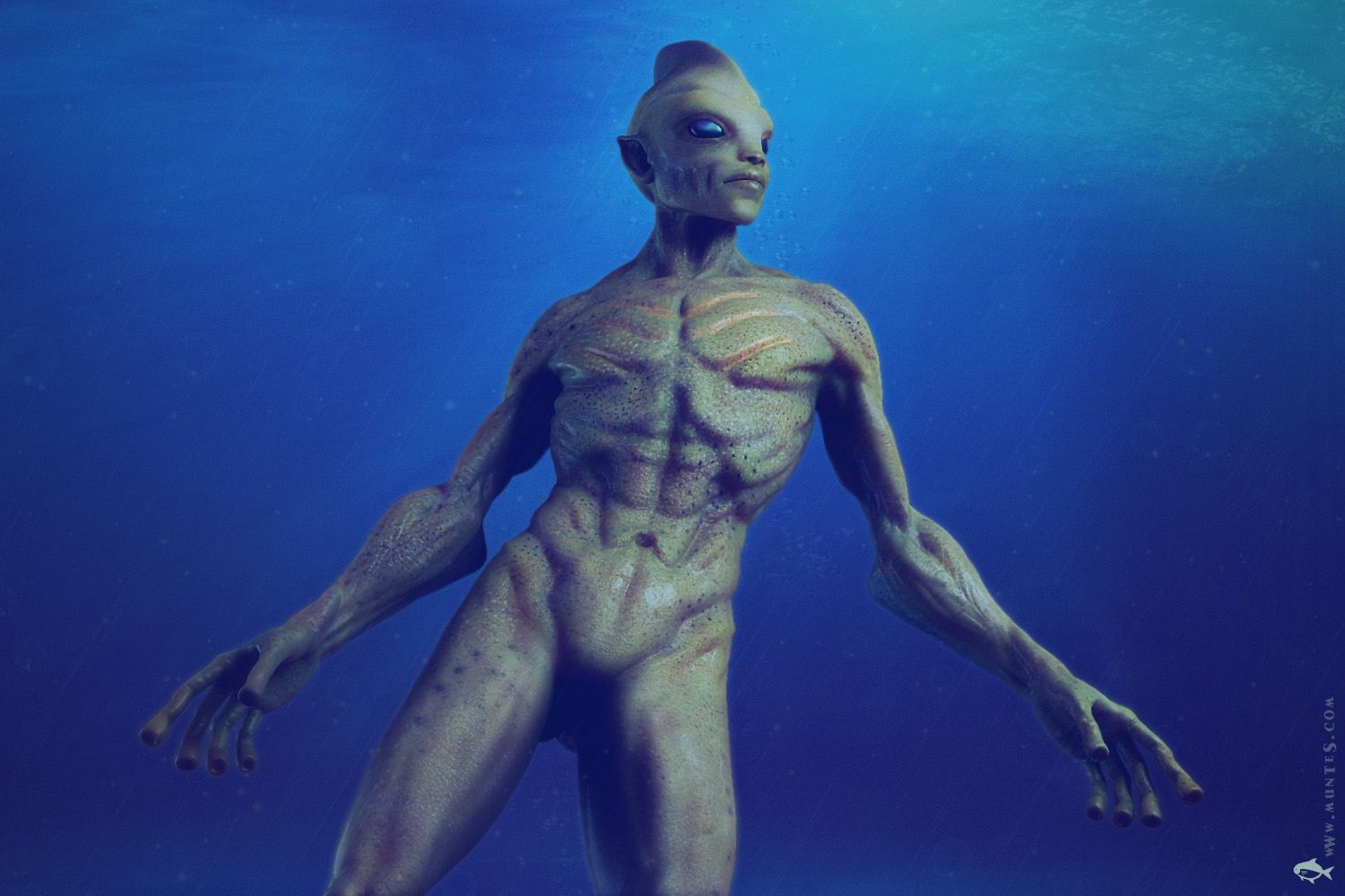 Fin_beauty.jpg