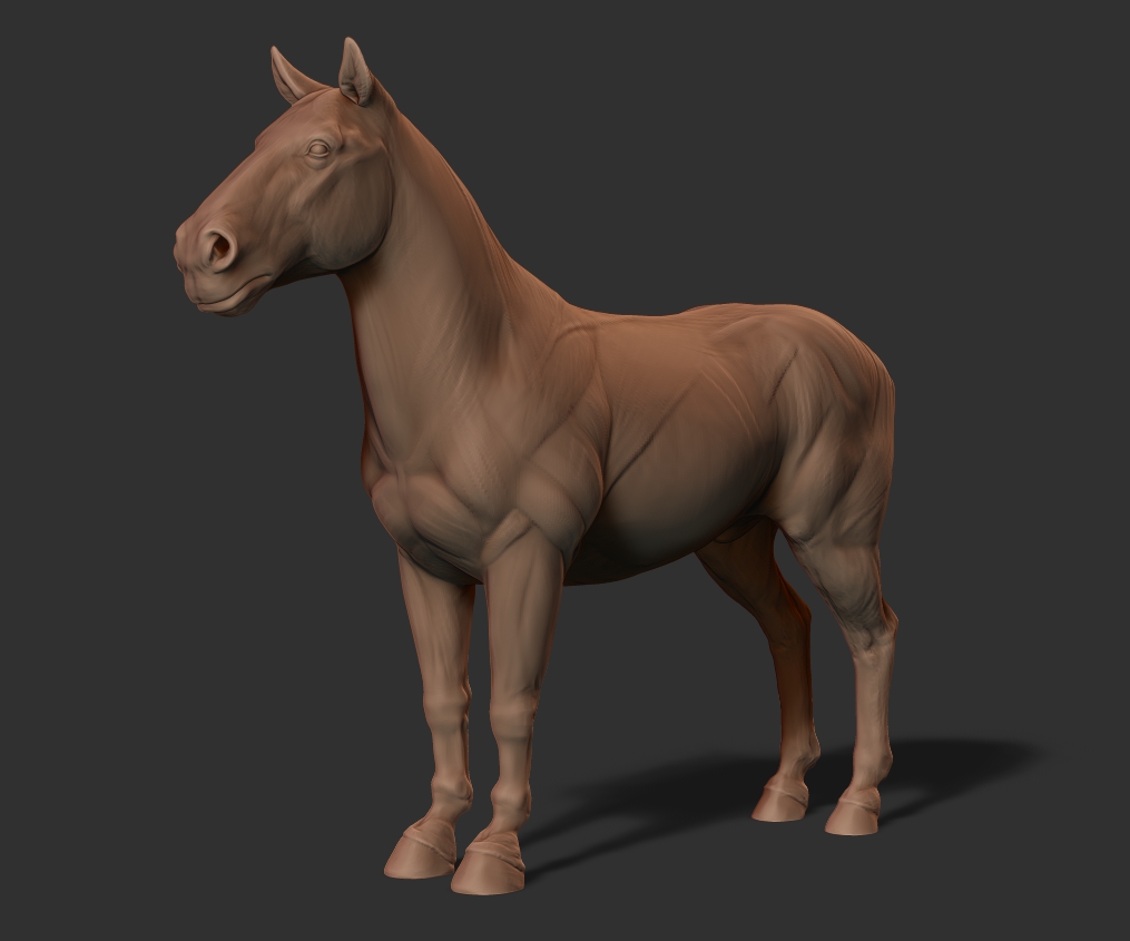 bM_horseProgress01.jpg