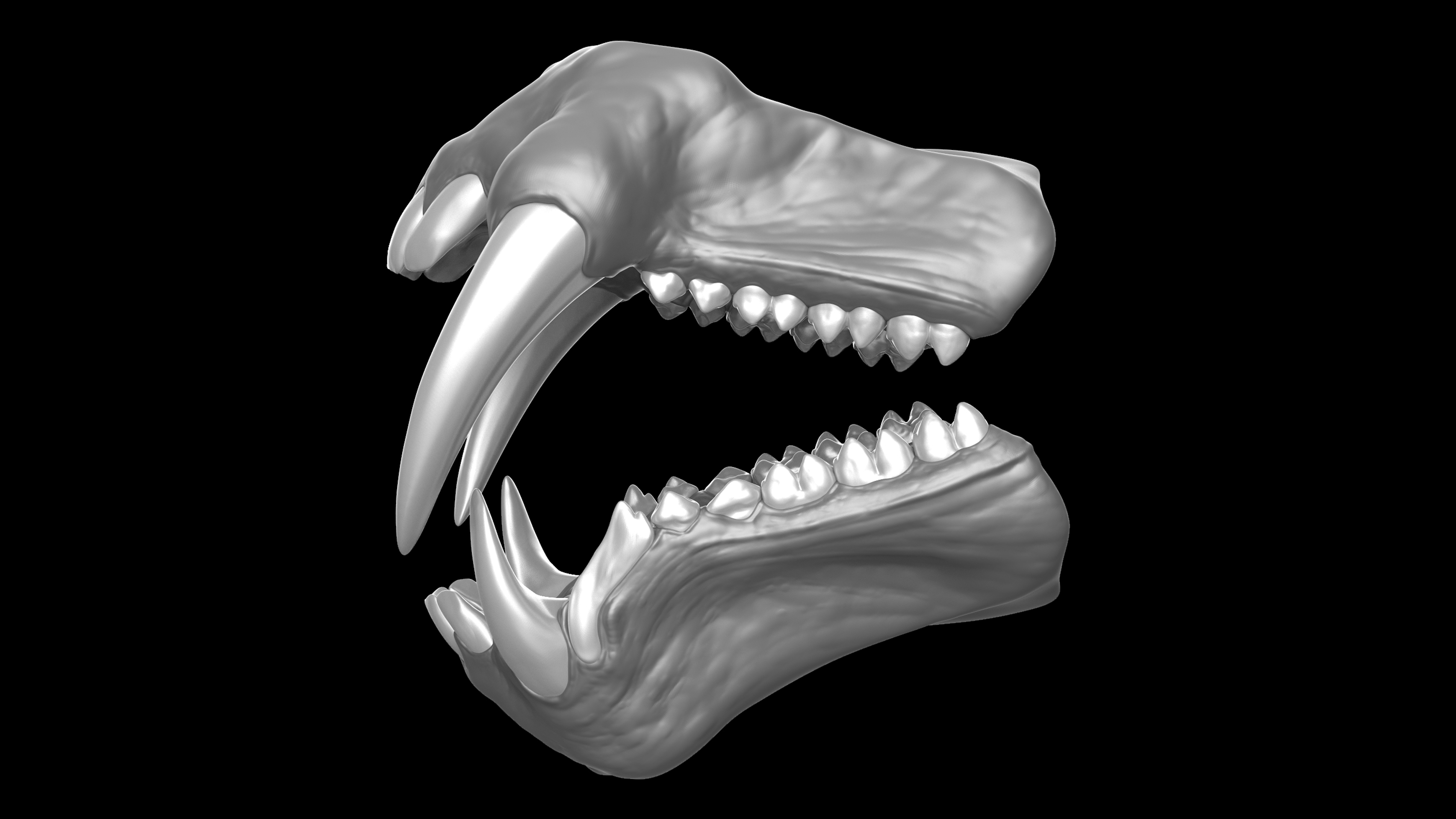 Teeth_Kits_Master_Views_Mandrill_06.jpg