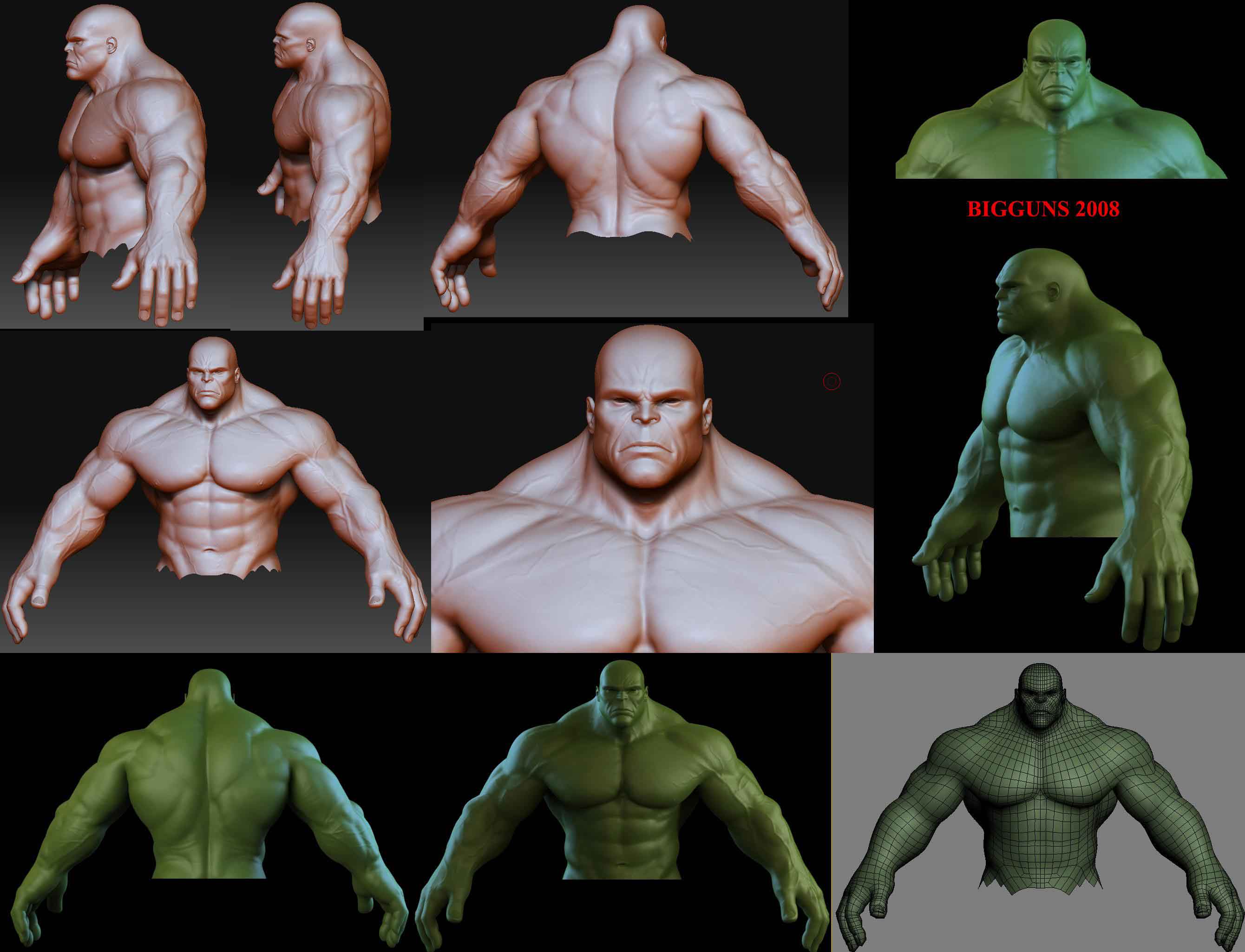 montagehulk2008pf1.jpg