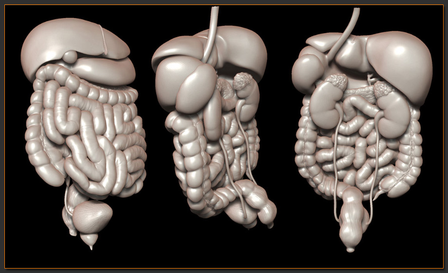 organs.jpg