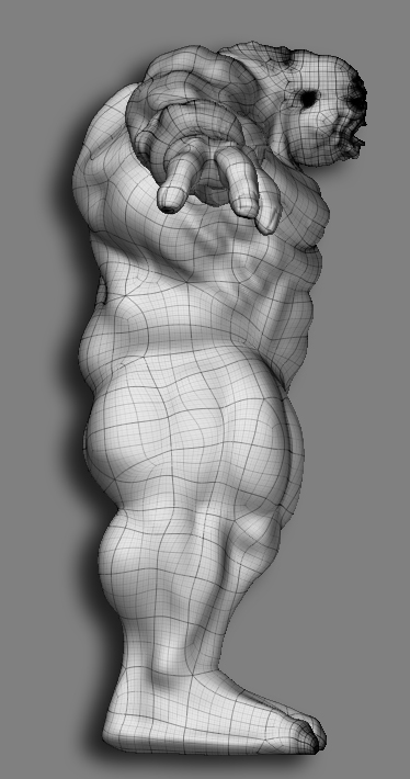 side veiny mesh.jpg