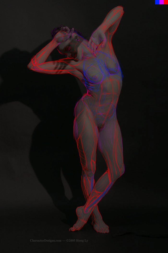 SurfaceAnatomy01_Composite_02.jpg